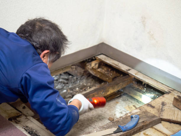 Water Damage Restoration in Del Rio, TX