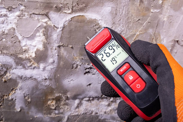 Best Black Mold Removal  in Del Rio, TX