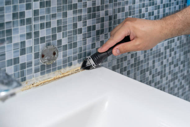 Mold Testing and Removal in Del Rio, TX