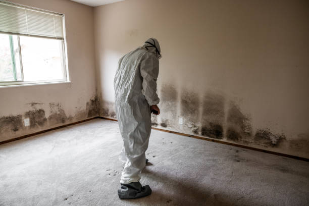 Best Mold Testing  in Del Rio, TX
